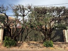 Excelente localização - residencial e comercial