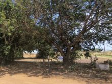 Área com 13 hectares