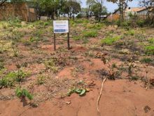 Oportunidade - próximo ao asfalto