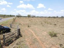 Área com 48 ha na MS-040