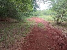 Chácara na Gameleira - 2 ha