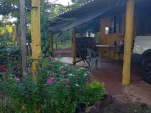 4 hectares - terra de cultura