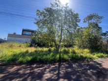 Terreno em frente a área verde de preservação