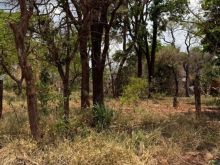 Terreno com 360 m² no Jardim Noroeste