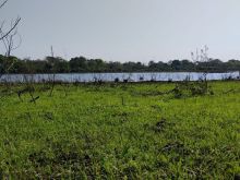 401 has - região Abobral / Pantanal Alto