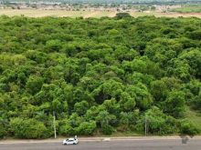 Excelente área - frente para av. Gury Marques