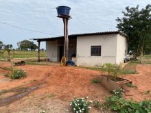 200 ha - pecuária dupla aptidão