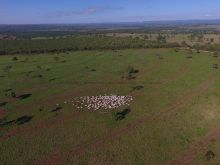 204 hectares - quase na beira da rodovia