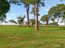 1.815 hectares - Inocência - dupla aptidão