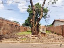 Terreno no Rita Vieira - quitado e escriturado