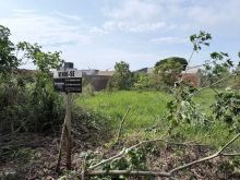 Terreno plano pronto para construir