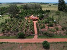 Chácara - Rochedinho - 3 hectares - formada