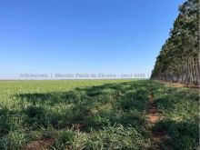 Fazenda 608 ha para lavoura e pecuária