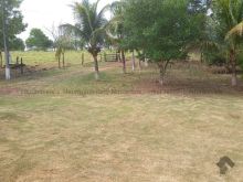 Chácara 6,6 ha - Rio Negro
