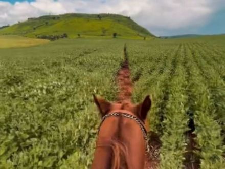 Fazenda em Zona Rural