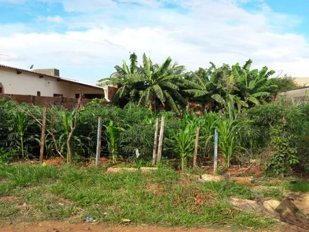 Terreno em Jardim Botânico II