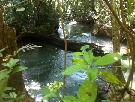Chácara em Zona Rural