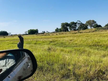 Fazenda em Zona Rural
