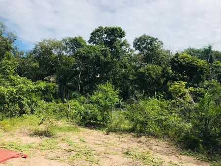 Fazenda em Zona Rural