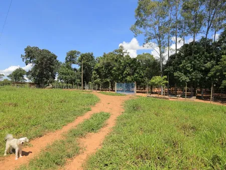 Chácara em Zona Rural