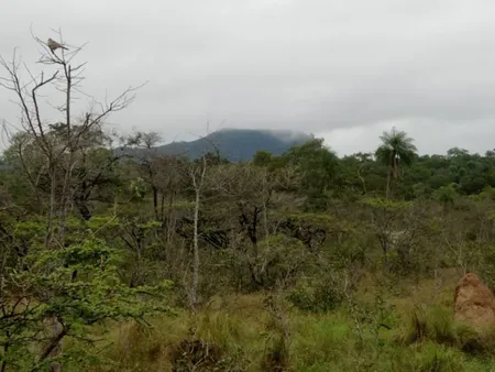 Fazenda em Zona Rural