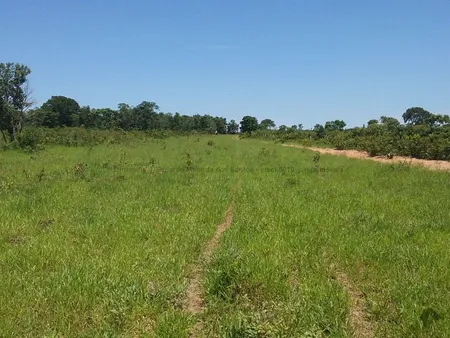 Sitio em Zona Rural