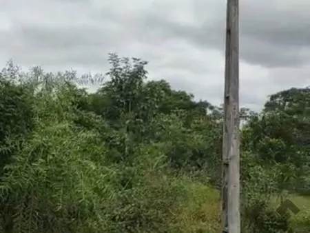 Pesqueiro em Zona Rural