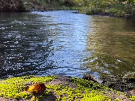 Chácara em Zona Rural