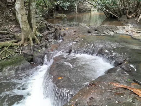 Chácara em Zona Rural