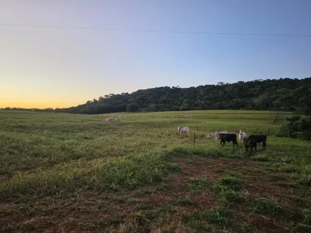 Fazenda em Zona Rural