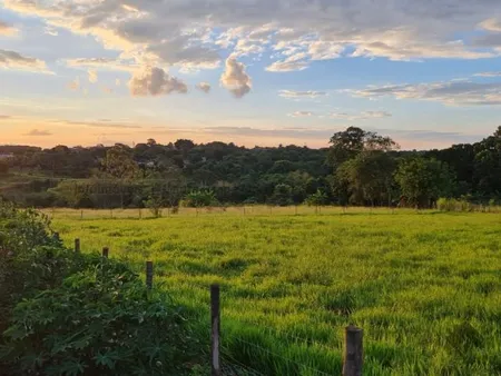Área em Jardim das Cerejeiras