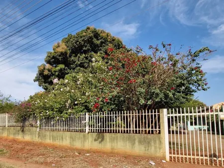 Área em Centenário