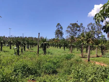 Chácara em Zona Rural