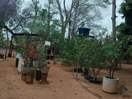 Chácara em Zona Rural