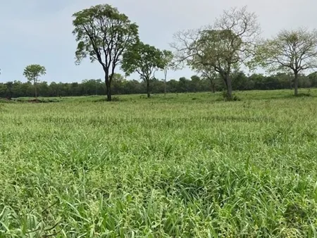 Fazenda em Zona Rural