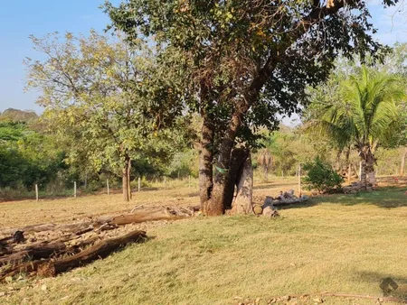 Chácara em Zona Rural