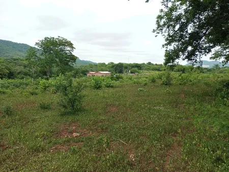 Área em Zona Rural