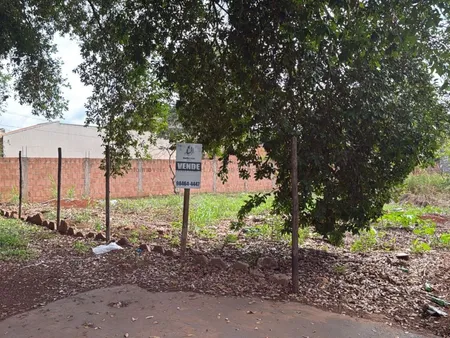 Terreno em Nova Campo Grande