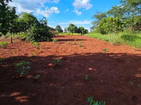 Terreno em Anhanduí