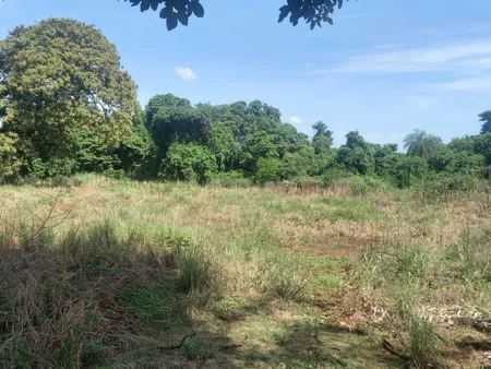 Área em Vila Alves Pereira