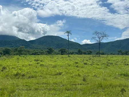Fazenda em Zona Rural