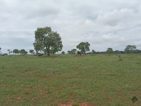 Sitio em Zona Rural