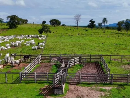 Fazenda em Zona Rural