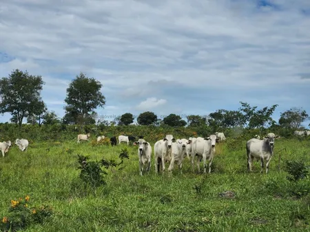 Fazenda em Zona Rural
