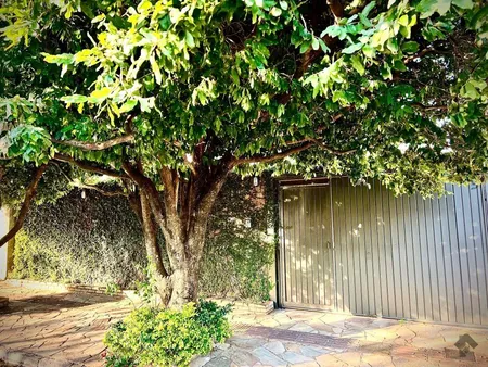 Casa-Térrea em Vila Célia