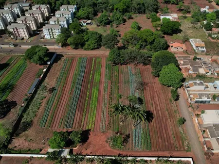 Área em Pioneiros