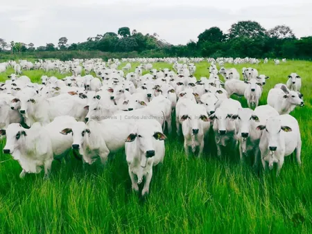 Fazenda em Zona Rural
