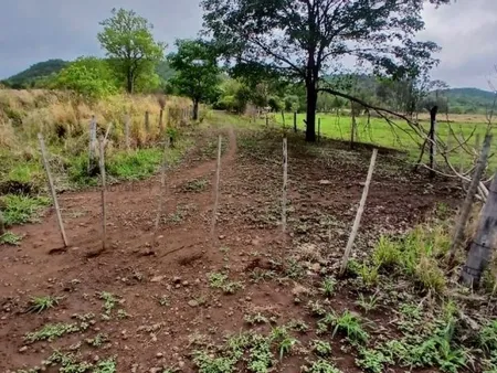 Chácara em Zona Rural