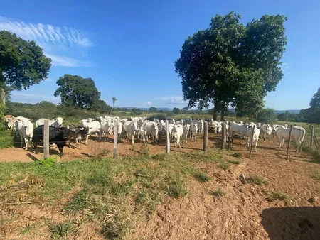 Fazenda em Zona Rural