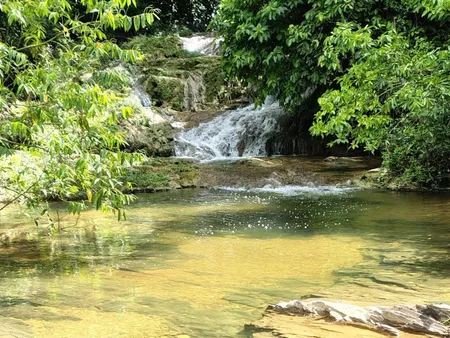 Área em Zona Rural